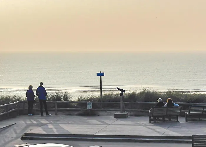 Zwaluwnest Hébergement de vacances